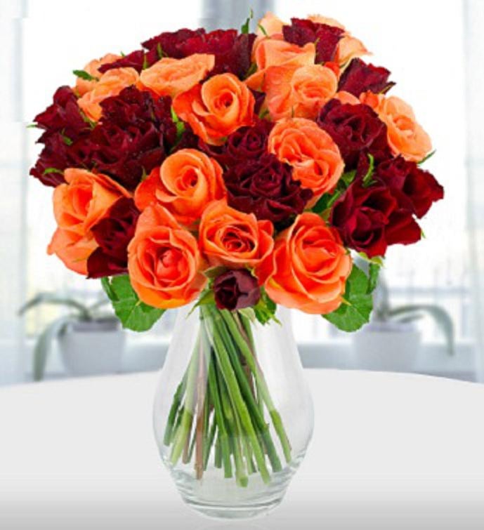 Passion of Red and Orange Roses